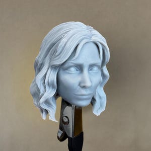 Custom SOFIA the FALCON Head (Penguino) | 8K Resin Print for Action Figures