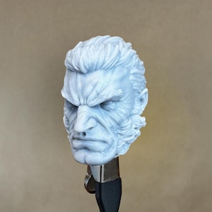 Custom OLD MAN WOLF Head | 8K Resin Print for Action Figures