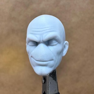 Custom MUTANT MORP Head | 8K Resin Print for Action Figures