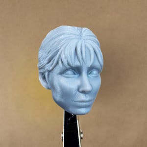 Custom SOFIA the FALCON Head (Bun) | Penguino | 8K Resin Print for Action Figures