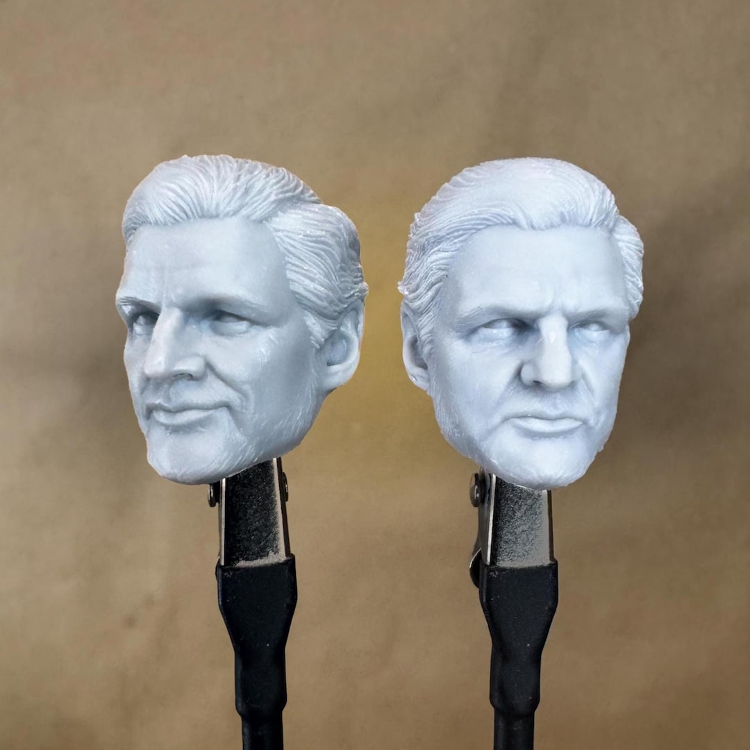 Custom REED RICHARDS Heads (fantastic Pedro) 8K Resin Print for