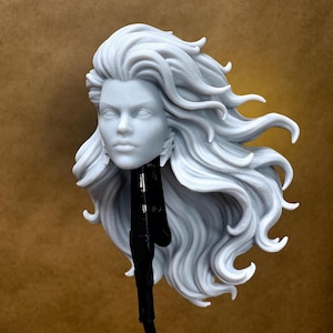 May include: A light gray resin miniature head sculpt featuring a face with defined features and long, flowing, wavy hair that extends outward. The head is mounted on a black plastic stand, showcasing intricate hair texture and facial details.
