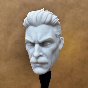 Benutzerdefinierte OMNI GUY Kopf | Unsichtbar | 8K Resin Print für Actionfiguren