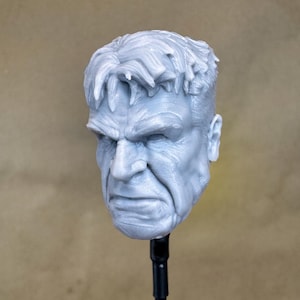 Custom RED HULK - Neutral Head (Captain America 4) | 8k Resin Print | for 4&quot; / 6&quot; / 7&quot; Scale Action Figures