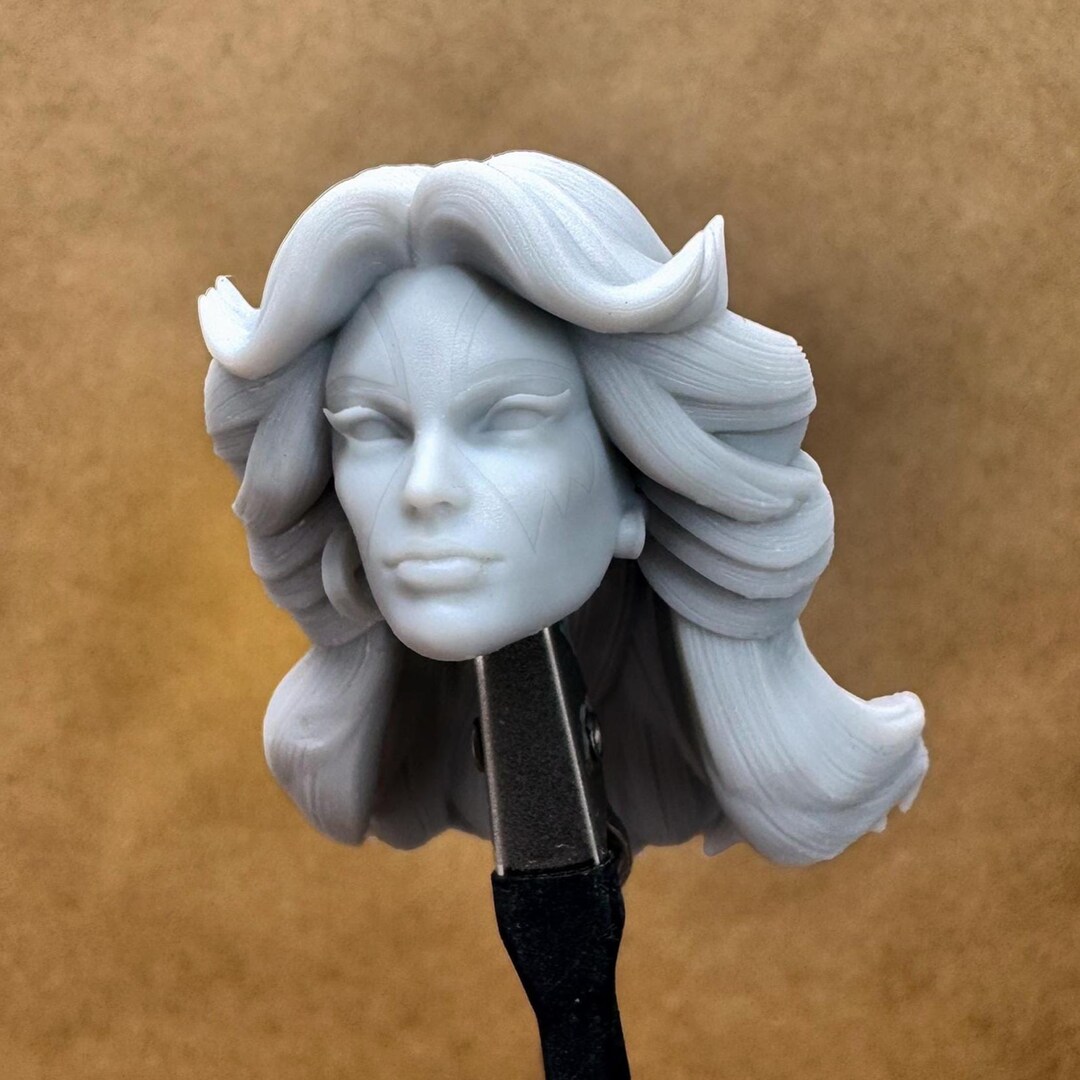 Custom DAZZ (classic Singer) Head | 8K Resin Print for Action Figures ...