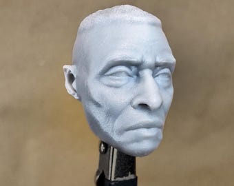 Custom ISAIAH BRAD (Lumbly) Head | 8K Resin Print for Action Figures