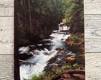 McKenzie River  Postcard