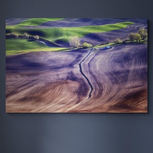 Impresión en metal de Palouse Hills: paisaje agrícola del estado de Washington
