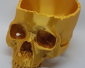 Skull Planter Bowl