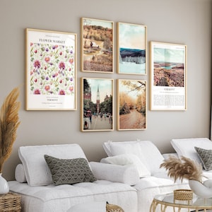 Mercado de flores de Vermont, Conjunto de impresiones del estado de Vermont de 6, Fotos de carteles de Vermont, Flor del estado de Vermont, Arte de la pared de Vermont, Estados Unidos