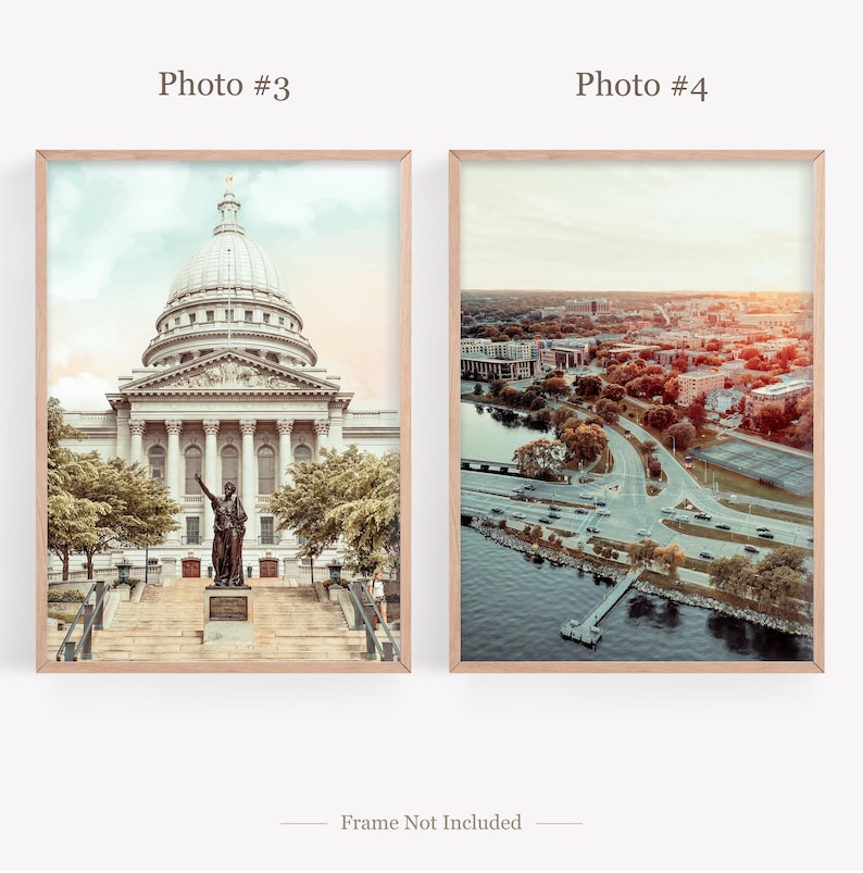 Madison Flower Market, Madison City Prints Set of 6, Madison Poster Photos, Wisconsin State Flower, Madison Wall Art, Wisconsin image 7