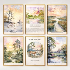 Watercolor South Carolina Prints Set of 6, Colorful South Carolina Posters, South Carolina Wall Art, South Carolina Gift, United States
