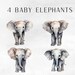 Baby Elephant Watercolor Clipart, Cute Clip Art for Commercial Use ...