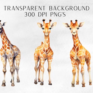 Giraffe Watercolor Clipart, Cute Clip Art for Commercial Use ...