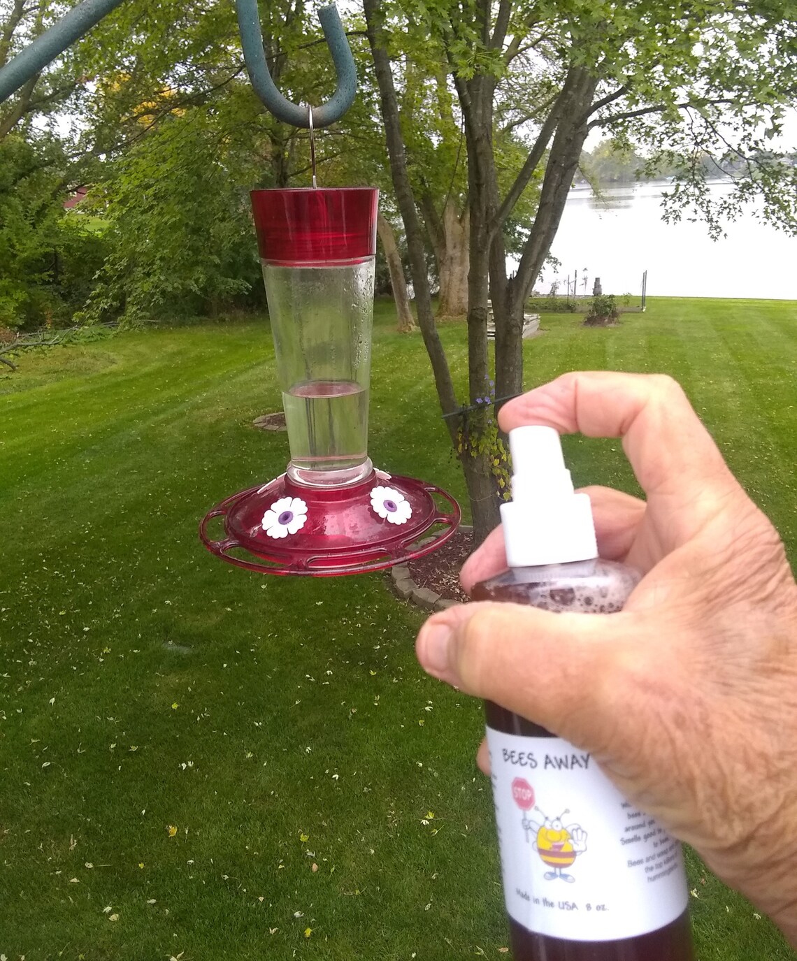 Keep Bees and Wasps Away From Your Hummingbird Feeders Natural Plant