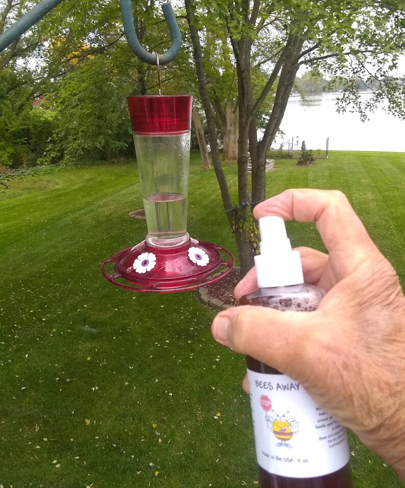Keep Bees and Wasps Away From Your Hummingbird Feeders Natural Plant