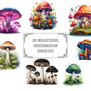 Beautiful mushrooms clip art - mystical magical toadstools - PNG format
