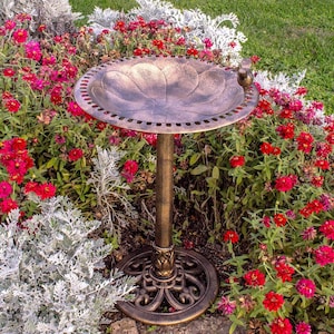 Bronze 30-Inch Bird Bath - Weather Resistant Polyresin Garden Sculpture for Backyard | Decorative Outdoor Ornamental Feature