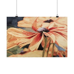Coneflower Art Print