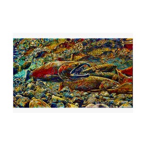Coho frai sur la rivière Salmon par Grant Nixon - impression d'art, art poisson, décoration nature, art aquatique, impression poisson vibrant, cadeau pour amoureux de la nature