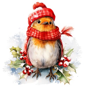 14 Pettirosso di Natale JPG, clipart natalizia acquerello, clipart invernale, stampa acquerello, uccello acquerello, carta digitale