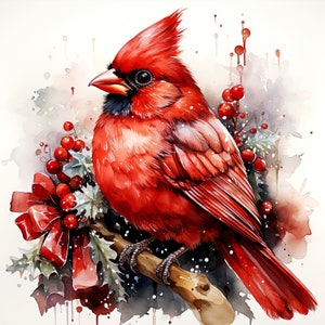 Ornement de Noël cardinal 17 JPG, clipart Noël aquarelle, clipart hiver, oiseau aquarelle, Noël à imprimer, images de Noël