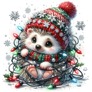 17 JPG Clipart riccio acquerello, clipart animale, clipart natalizio acquerello, sfondo natalizio, clipart invernale, Natale stampabile