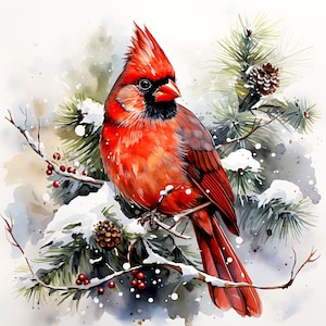 18 JPG Ornamento natalizio cardinale, clipart natalizia in acquerello, clipart invernale, uccello acquerello, pacchetto natalizio, invito natalizio