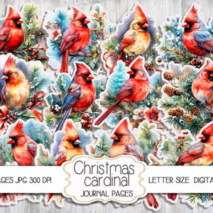 Weihnachten Kardinal, Junk Journal, Aquarell Vogel, Junk Journal Kit, Digitale Papiere, Digitaler Hintergrund, Weihnachten Hintergrund