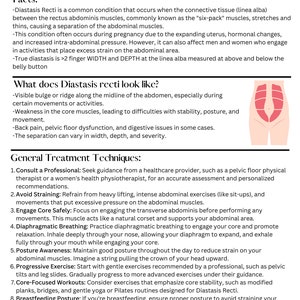 Diastasis Recti Pelvic Floor Handout