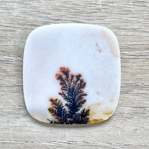 May include: A square, polished white stone with a unique dendritic pattern. The pattern resembles a small tree with black and brown branches and a white background. The stone has rounded corners and a smooth surface, perfect for jewelry or display.