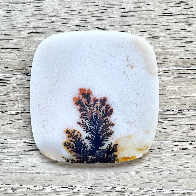 May include: A square, polished white stone with a unique dendritic pattern. The pattern resembles a small tree with black and brown branches and a white background. The stone has rounded corners and a smooth surface, perfect for jewelry or display.