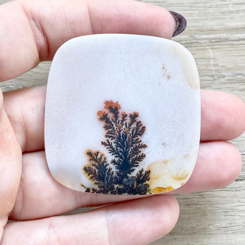 May include: A set of three ceramic mugs with a speckled, matte finish. The mugs are in shades of cream, light gray, and dark gray. Each mug has a simple, minimalist design, perfect for coffee or tea.