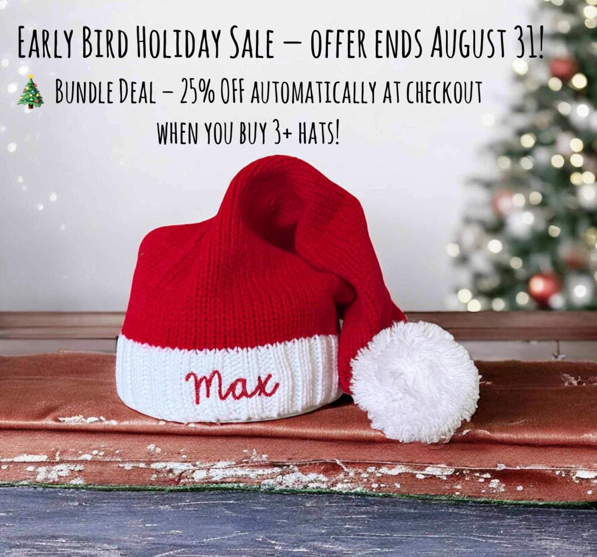 Newborn Santa Hat