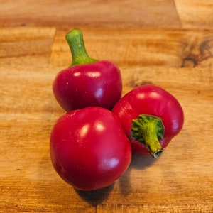 Large red cherry pepper seed