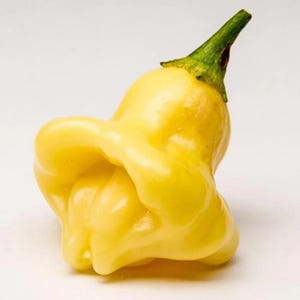 Aji Fantasy yellow