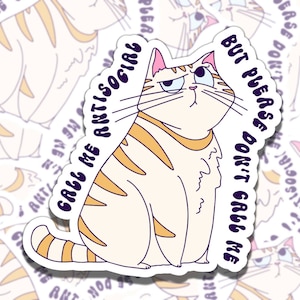 Call Me Antisocial Cat Mental Health Sticker, Affirmation Sticker, Gift for Friend, Funny Sticker for Kindle Laptop Water Bottle Journal