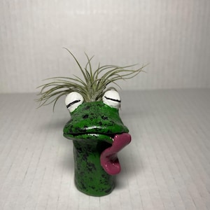 Hand Sculpted Clay Reptile Snake Plant Holder