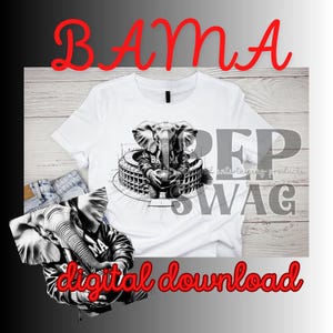 BAMA Fußball - PNGs