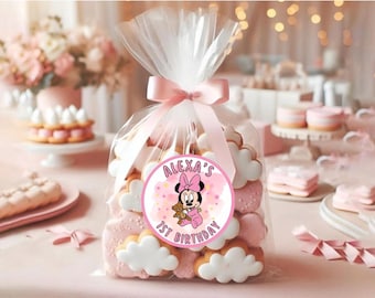 Baby Minnie 1st Birthday Thank You Stickers: Girl Party Favors