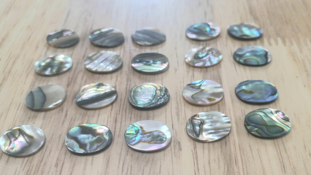 Abolone Shell Inlay 20 Pieces Genuine Abalone Shell Inlay Blanks -oval Shape - 16mm × 12mm ...