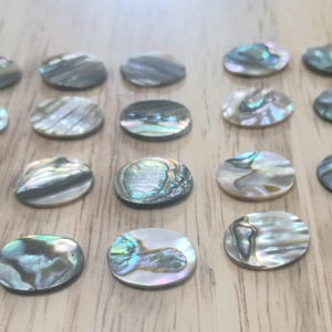 20 stycken äkta Abalone snäckskalsinlägg - oval form - 16 mm × 12 mm × 1,5 mm Gitarrsmycken, Träbearbetning, mosaik
