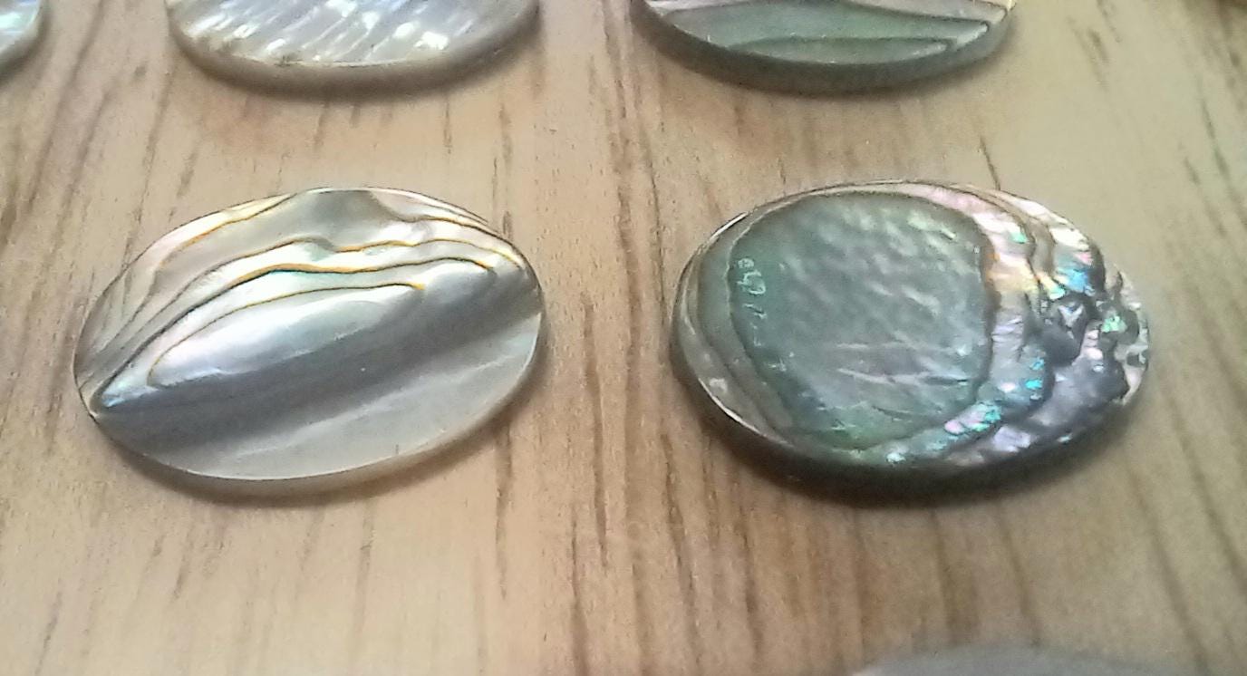 20 Pieces Genuine Abalone Shell Inlay Blanks -oval Shape - 16mm × 12mm ...