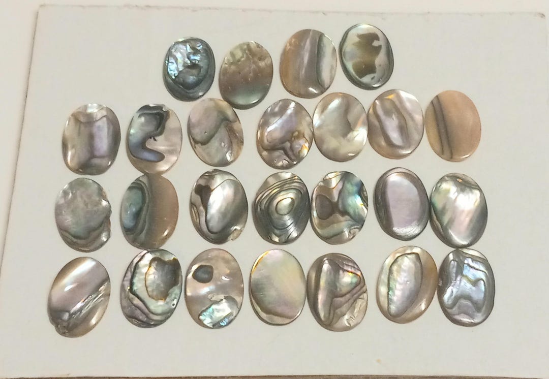 25 Pieces Genuine Abalone Shell Inlay Blanks -oval Shape - 14mm × 10mm ...