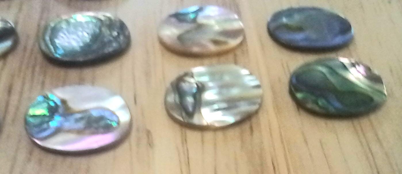 Abolone Shell Inlay 20 Pieces Genuine Abalone Shell Inlay Blanks -oval Shape - 16mm × 12mm ...