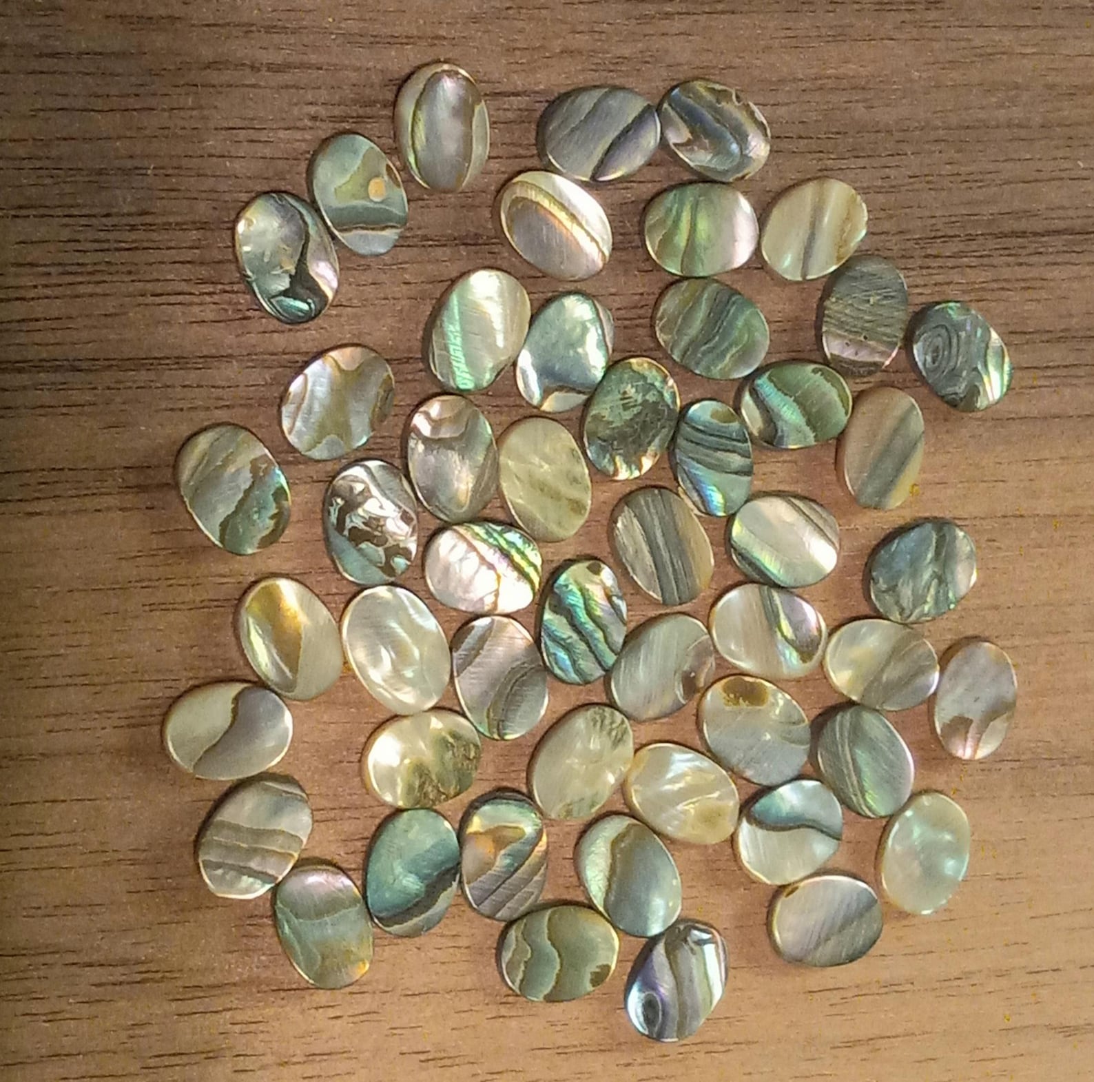 50 Pieces Genuine Abalone Shell Inlay Blanks -oval Shape - 8mm × 6mm × ...
