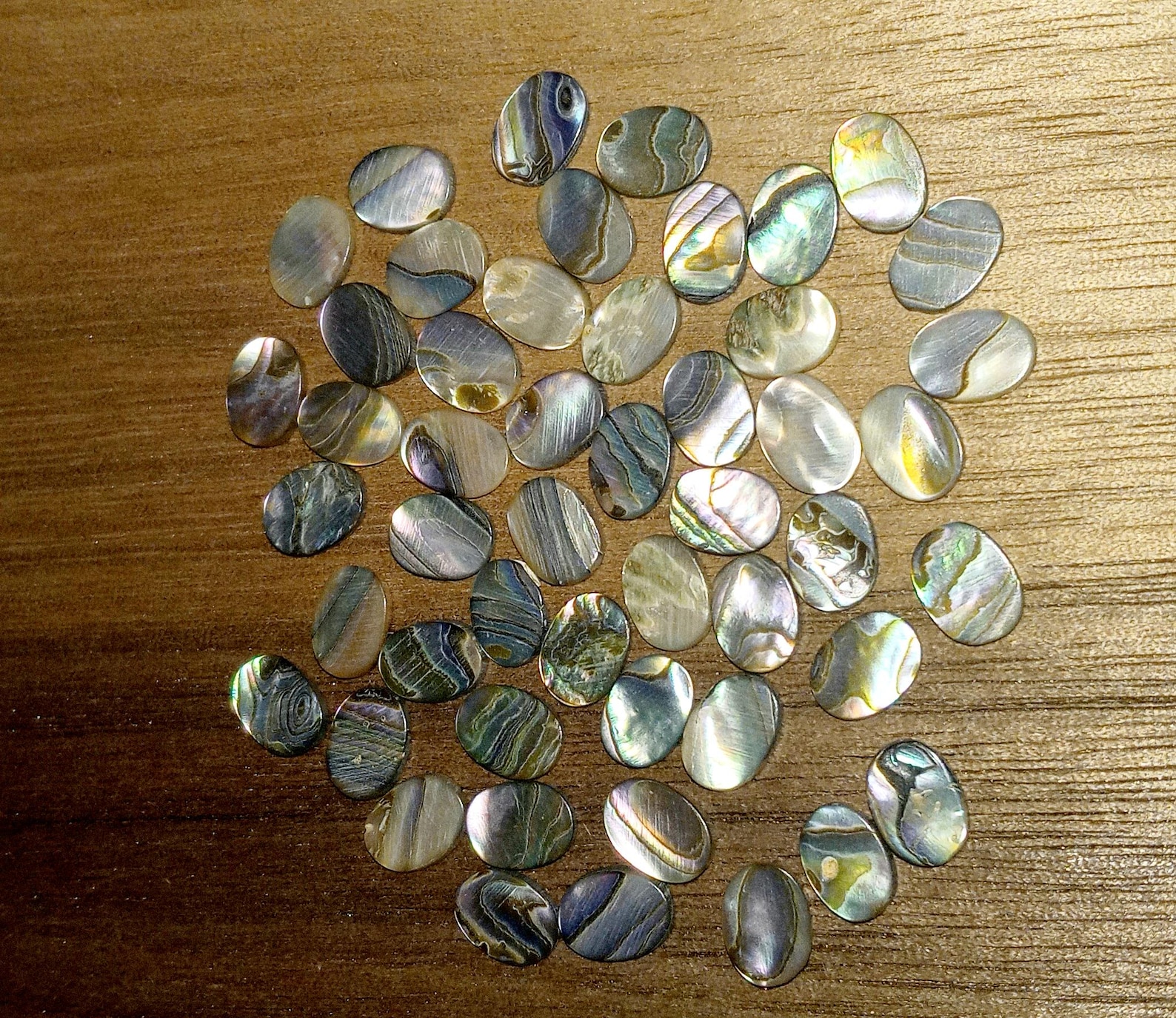 50 Pieces Genuine Abalone Shell Inlay Blanks -oval Shape - 8mm × 6mm × ...