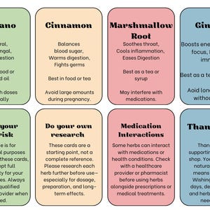 20 Essential Herbs for Everyday Wellness