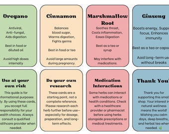 20 Essential Herbs for Everyday Wellness