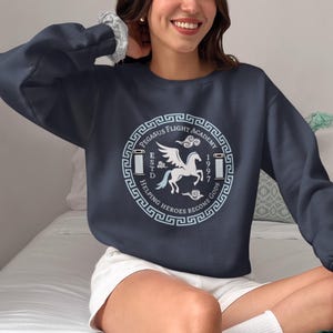 Hercules Pegasus Flight Academy-uniseks sweater